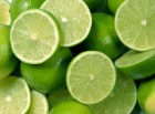 SASA Alimentación