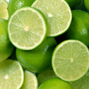 Istock 000009604203small